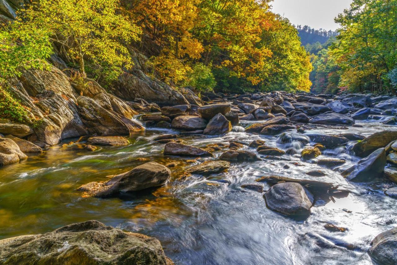Bear Escape * Sevierville